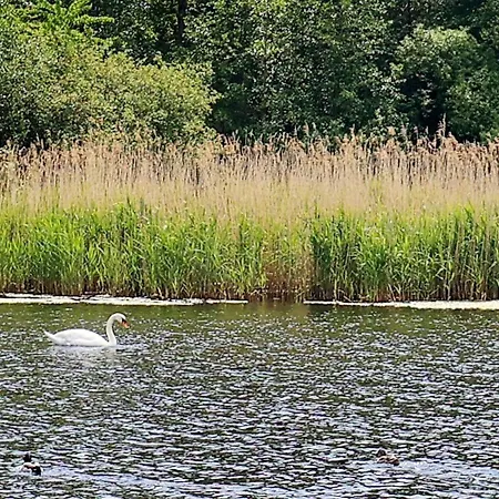 6 Person In Tranekaer-by Traum Dom wakacyjny *