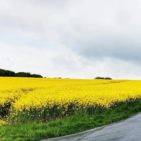 6 Person In Tranekaer-by Traum