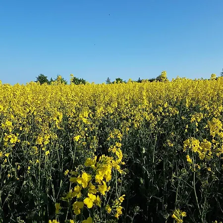 6 Person In Tranekaer-by Traum Tranekær