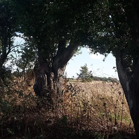 6 Person In Tranekaer-by Traum Dom wakacyjny *