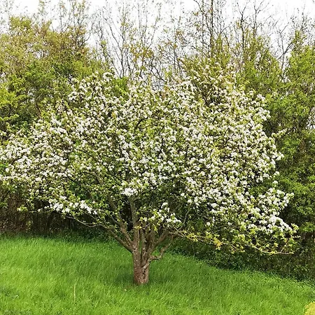 6 Person In Tranekaer-by Traum Dom wakacyjny Tranekær