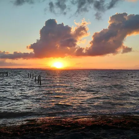 Feriehus 6 Person In Tranekaer-by Traum *