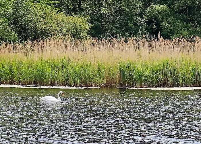 6 Person In Tranekaer-by Traum Ferienhaus *