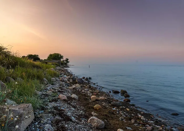 6 Person In Tranekaer-by Traum *