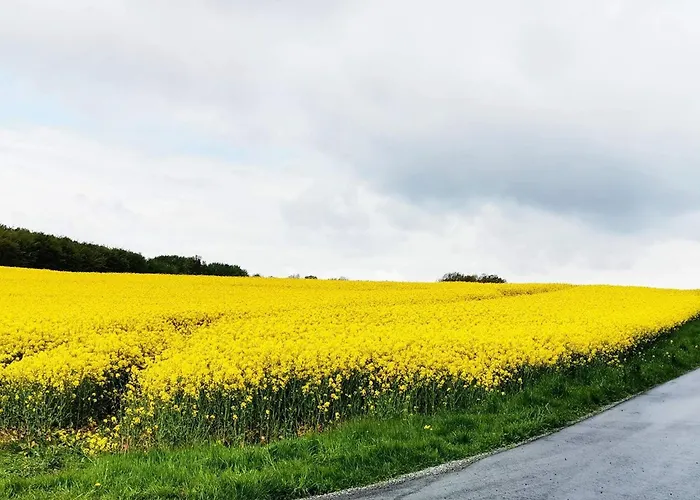 6 Person In Tranekaer-by Traum