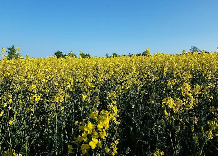 6 Person In Tranekaer-by Traum Tranekær