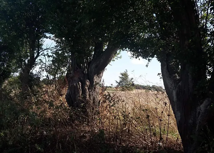 6 Person In Tranekaer-by Traum Nyaraló *