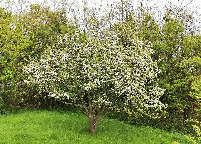 6 Person In Tranekaer-by Traum Ferienhaus Tranekær